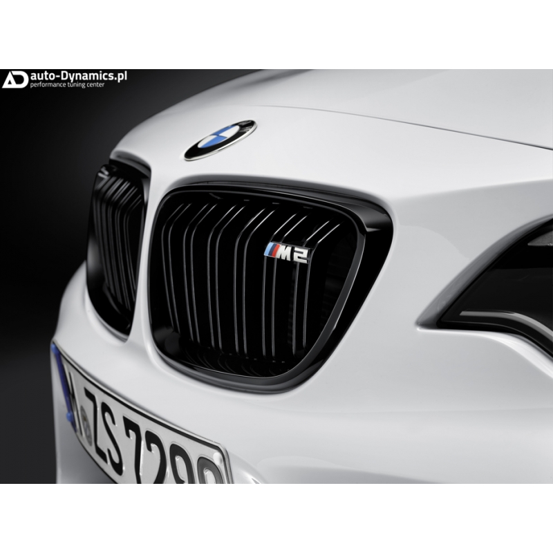 Czarna Atrapa Chłodnicy BMW M2 [F87] BMW M Performance