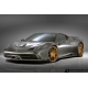 Obudowy Tylnych Świateł Przeciwmgłowych Ferrari 458 Speciale / A [Włókno Węglowe - Carbon] - Novitec